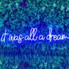 It-was-all-a-dream-neon-sign