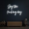 Slay the fucking day neon sign